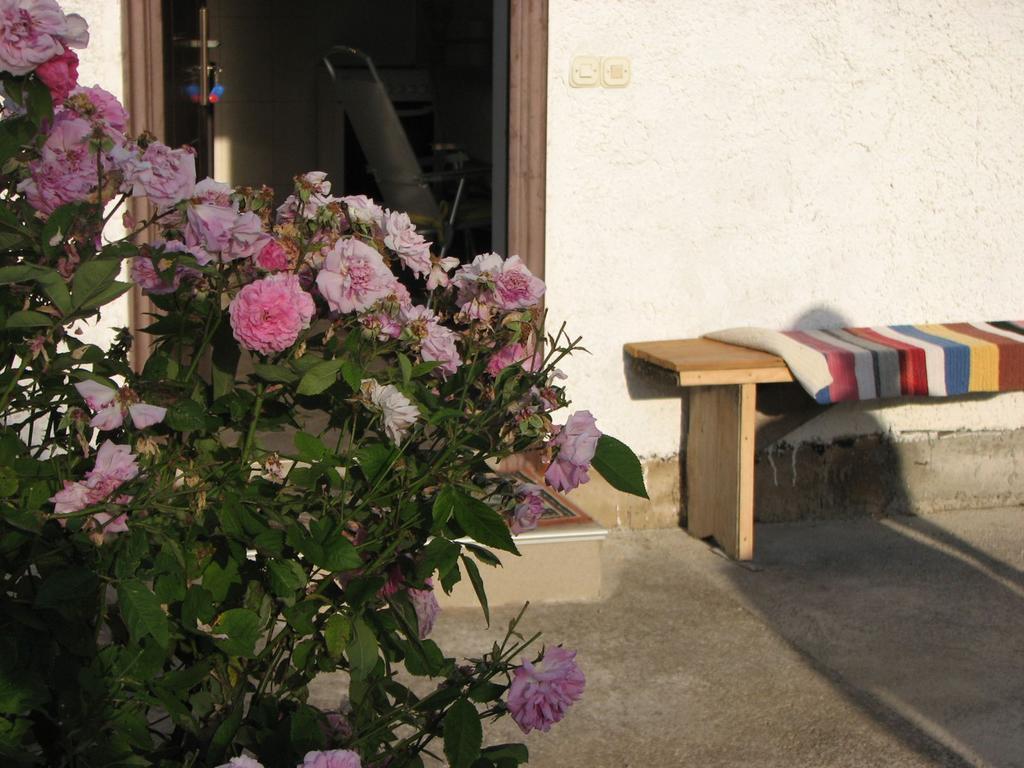 House Nada Donji Babin Potok Exterior foto