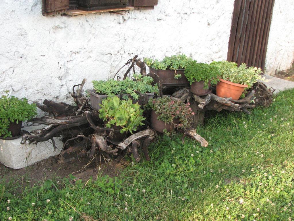House Nada Donji Babin Potok Exterior foto