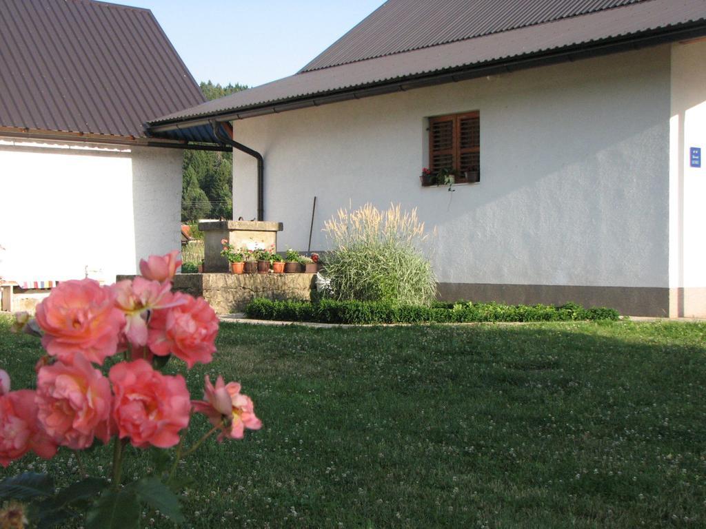 House Nada Donji Babin Potok Exterior foto