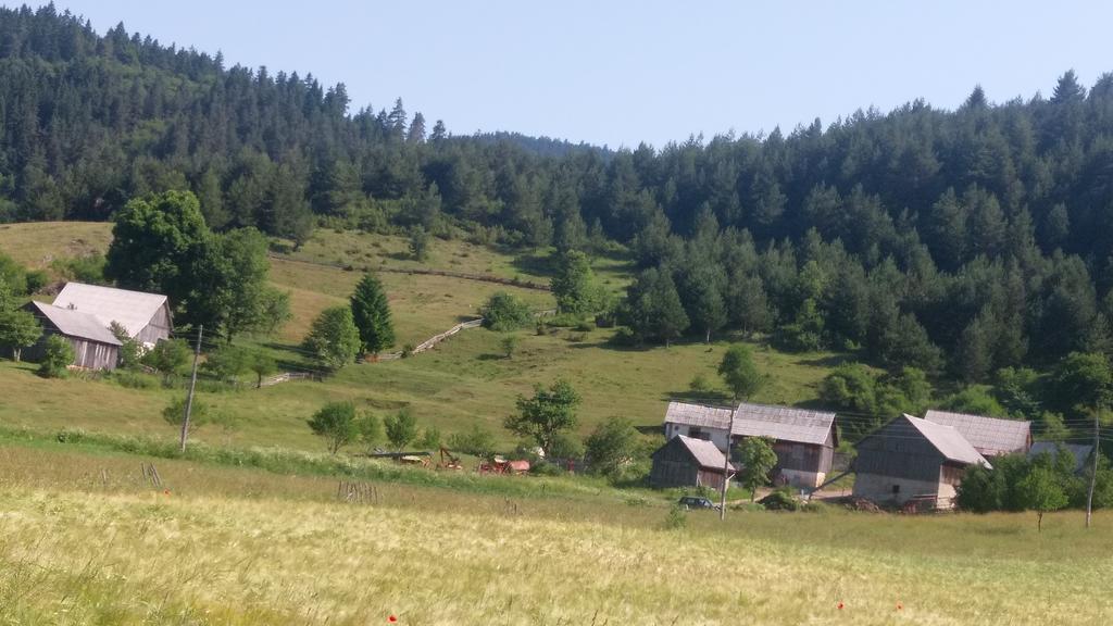 House Nada Donji Babin Potok Exterior foto